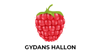 gydans-hallon-logo